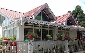 Rise N Shine Homestay